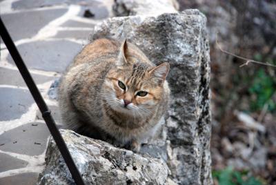 Прикрепленное изображение: rDSC_0163.jpg